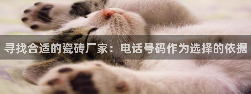 jinnian金年会