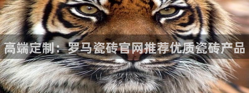 亚博金年会