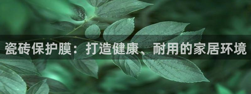 金联金年会