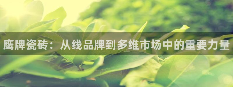 金年会体育娱乐