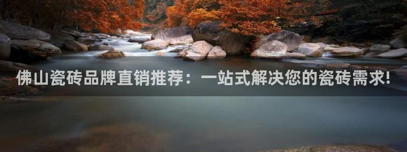 金年会网登录平台入口