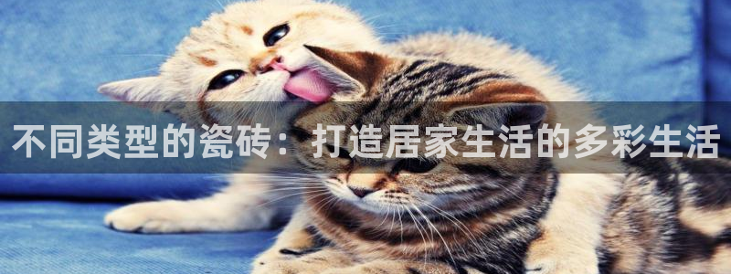 年会金句心得